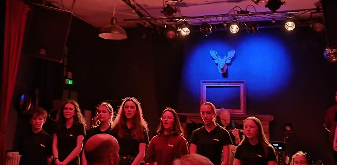 Edemzi : Projet musical